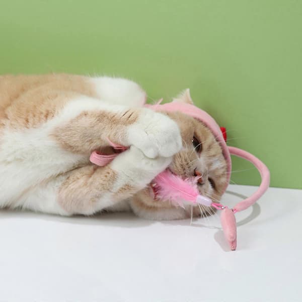 Hatte Killingelegetøj til killing eller katte Legetøjsgaveideer til katteelskere 2 farver