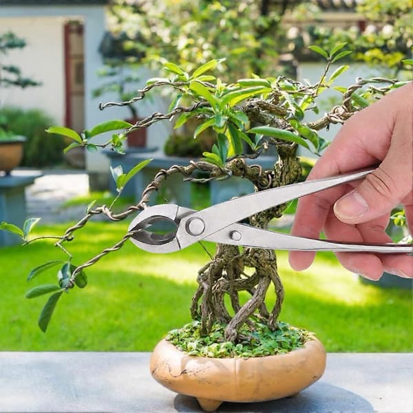 Multifunksjonell Grenkutter i Rustfritt Stål Hagebeskjæringssaks Bonsai Verktøy