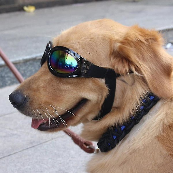 Kæledyrssolbriller med rem, Hunde UV-briller med justerbar hagestrop, Anti-dug & vindtætte kæledyrsbriller Solbriller Øjenbriller til små mellemstore store hunde