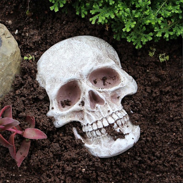 Realistinen Elämänkokoinen Pääkallokoriste Ihmisen Pääkallo Halloween Sisustus Hartsi Kauhupatsas Vedenpitävä Koti Toimisto Piha Koristelu