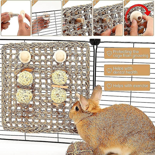Marsvinsleksaker, Leksaker Syrisk hamster, Kanin Uttråkning Brytare, Tuggleksaker För Små Djur Att Och Lindra