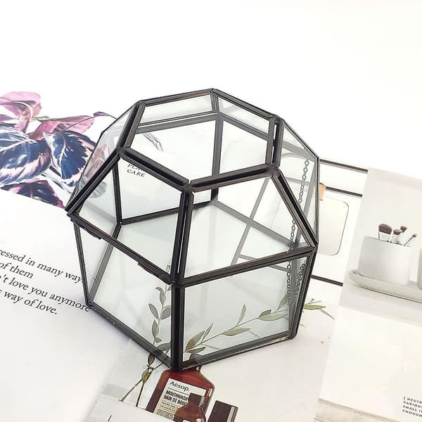 Bordplade Display Til Vitrine Med Klar Glaspanel Hængslet Låg Terrarium Boks Til