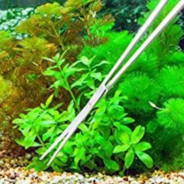 Akvarium Terrarium Saks Plantningssaks, Rustfrit Stål Akvariu XiXi