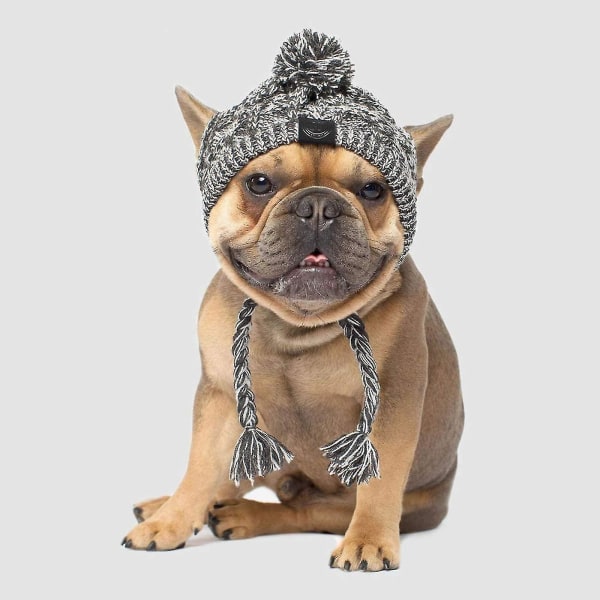 Koiran talvihattu, lämmin lemmikkipompon neulottu hattu Lämmin lemmikkieläinten neulottu Snood-päähineet korvarei'illä keskisuurille koirille ranskanbulldoggi Grey L