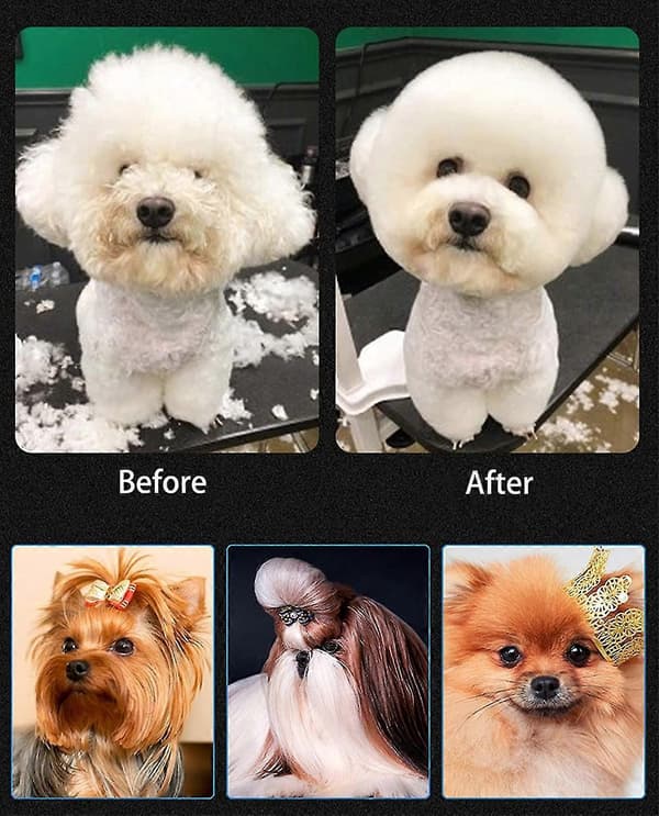 1 stk. Hundefrisørsaks, Rustfrit stål Pet Grooming Saks Sæt med Kam
