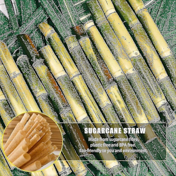200 stk. Sugarcane Straws 8 Tommer Komposterbare Sugerør Biologisk Nedbrytbare Miljøvennlige Drikkesugerør