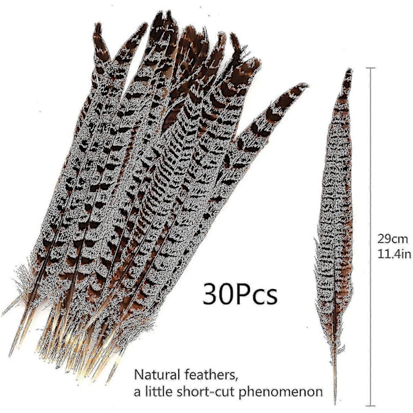 30 stk. naturlige fasanfjer, gør-det-selv fasanhalefjer, 15-28 cm blød naturlig fjer
