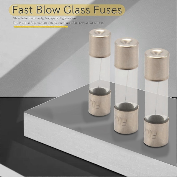 10 stk. 250V 0,2A 200mA Hurtig Blæsende Glassikringer Rør 5mm x 20mm