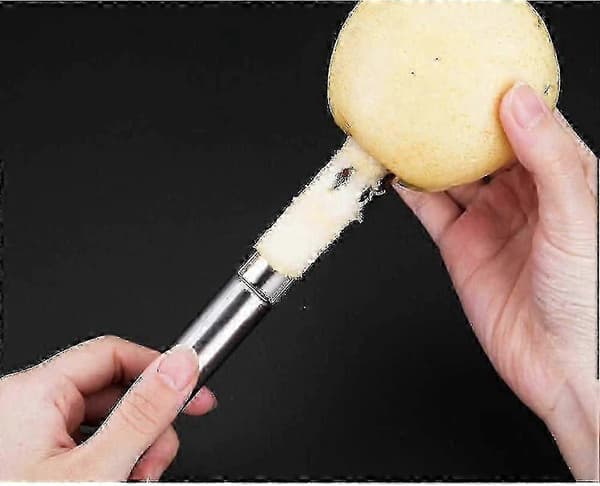 Sæt med 4 æblekerneudstikkere i rustfrit stål til æbler og pærer, sølv