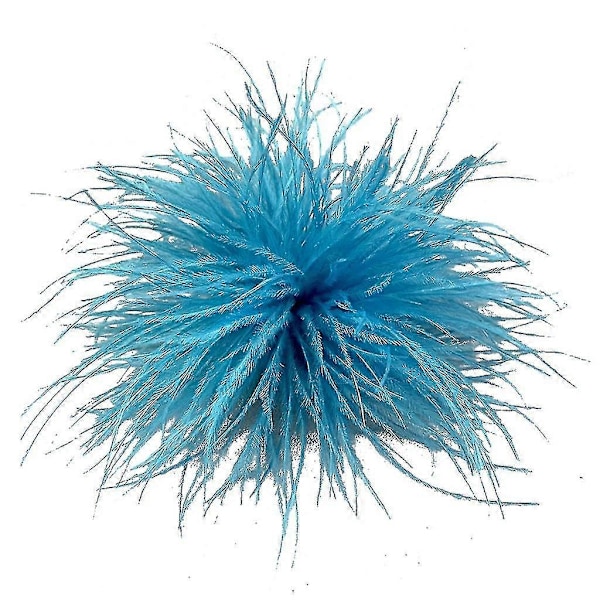 Fjerbrosche Fjer Corsages Klæde Dekorationer Struds Fjer Materiale Lake Blue