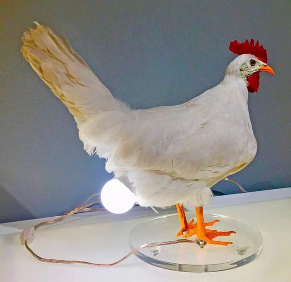 Hønse-LED-eggelampe nattlys utstoppede egg skrivebordslampe