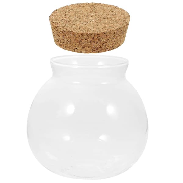 Växtterrarium Hydroponisk Växtkruka DIY Landskapsflaska Skrivbordsväxthållare