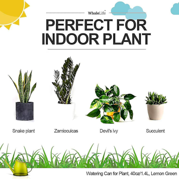 Vandekande Limegrøn Indendørs Vandekanden Til Hus Bonsai Planter Have Blomst Lang Tud 1.4l 1/3 Gallon Lille Moderne