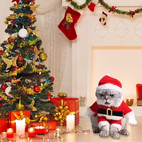 Julehunde tøj, Julehundekostume (M)