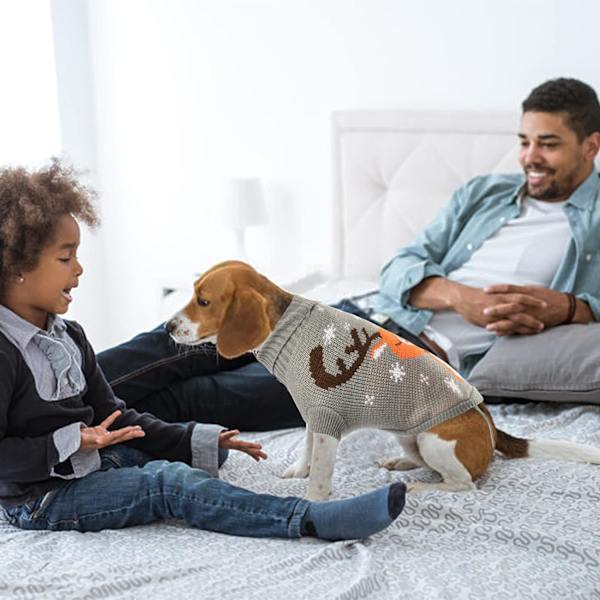 Hundetrøje, Kæledyrs Hundekattetrøje, Hundekostume Jul Små Hunde