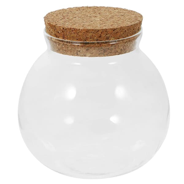 Växtterrarium Hydroponisk Växtkruka DIY Landskapsflaska Skrivbordsväxthållare