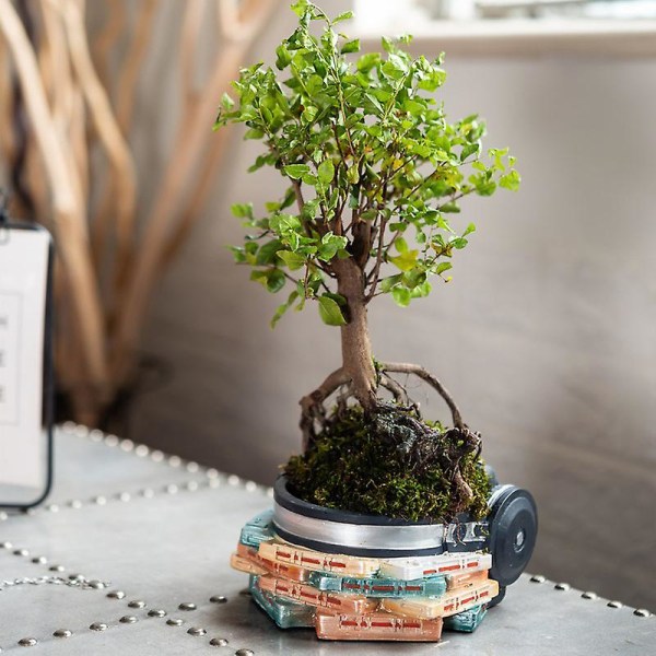 Blomsterpotte Retro Walkman Headset Design Succulent Bonsai Planteholder Skrivebord