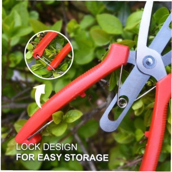 Pruning Shears Double Edged Shears Double Edged Garden Scissors Garden Fruit Thinning Shears with Multi-Purpose Pruning Tools No