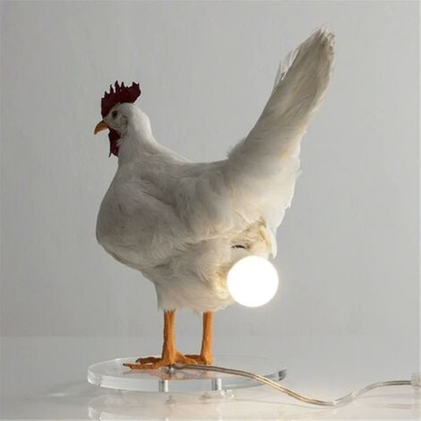Kyckling Led Ägglampa Nattljus Taxidermy Ägg Skrivbordslampa