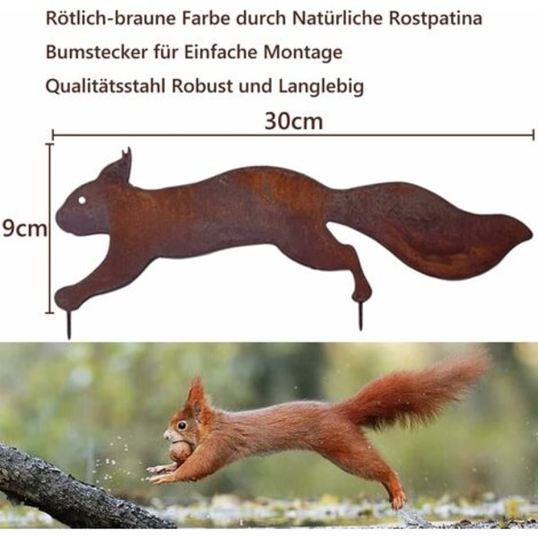 Trädekorre - Trädgårdsprydnad i metall - 30 cm - Naturlig rostpatina