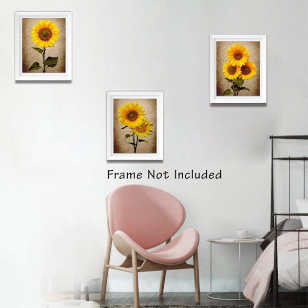 Solros Dekorativ Väggkonst Poster Set 8\" x 10\" Canvas Vardagsrums Dekoration (Oinramad)