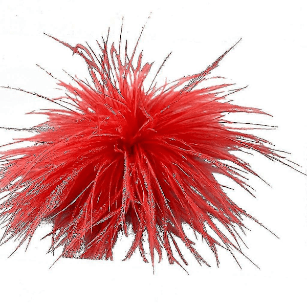 Fjerbrosche Fjer Corsages Klæde Dekorationer Struds Fjer Materiale Red