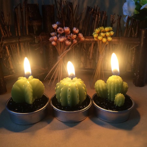 Home decor cactus candles - set of 6