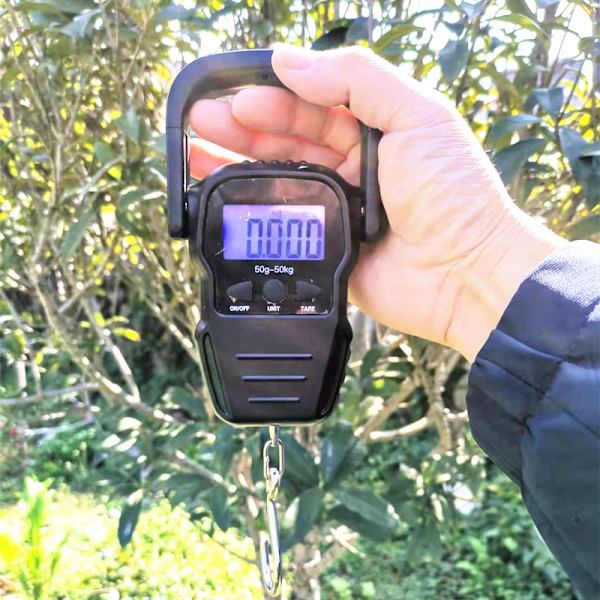 Elektronisk Bagagevåg/Portabel Digital Vågskala/Reseväska Vågskala med Bakgrundsbelyst LCD för Resor, Fiske och Bågskytte, Stor Haken