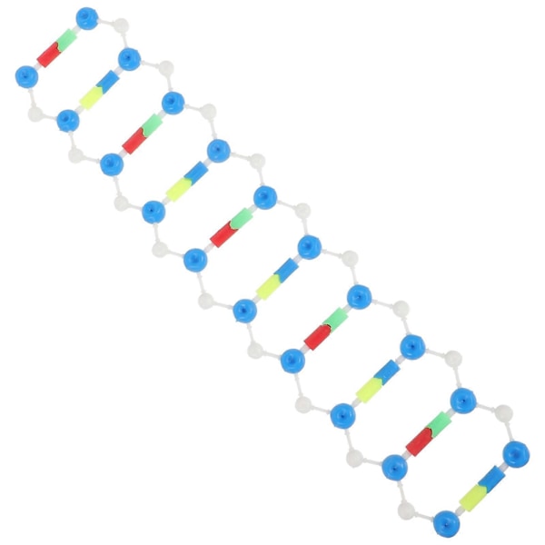 Dubbel Helix DNA Modell Vetenskap Undervisningshjälpmedel för Studenter Pedagogiskt Undervisningsverktyg
