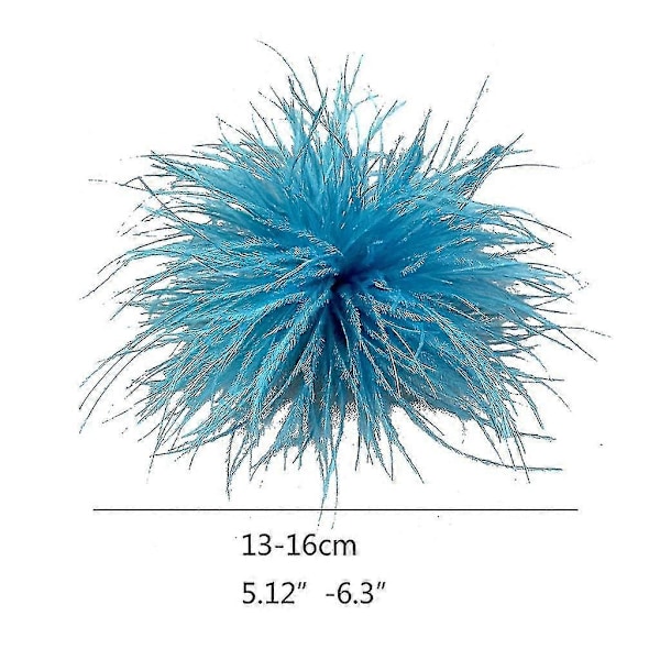 Fjerbrosche Fjer Corsages Klæde Dekorationer Struds Fjer Materiale Lake Blue