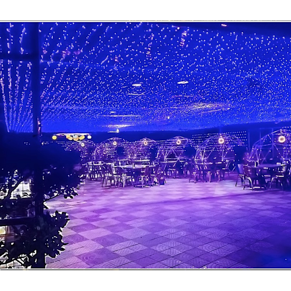 LED färgade ljus blinkande ljusslingor fulla av stjärnor ljus utomhus red 10 meters 100 lights