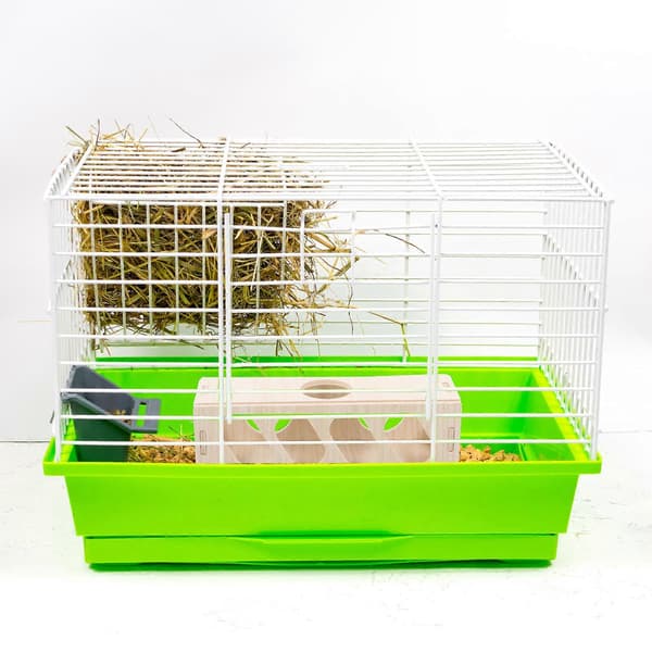 Rotte Trehus Slitesterk Hamstergjemmested Rottegjemmested Hamstertunnelforsyning