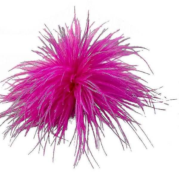 Fjerbrosche Fjer Corsages Klæde Dekorationer Struds Fjer Materiale Rose Red