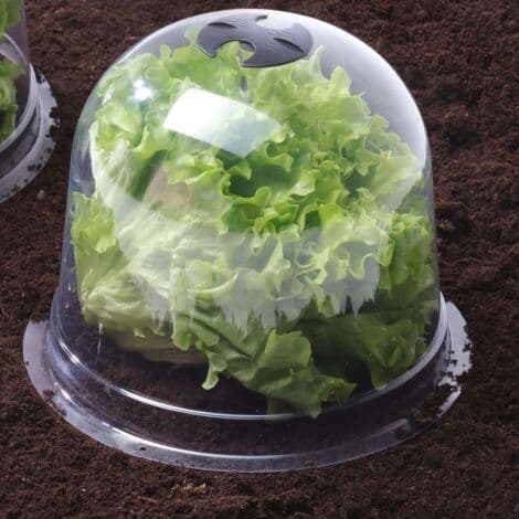 Plastik salatdæksler - Sæt af 6