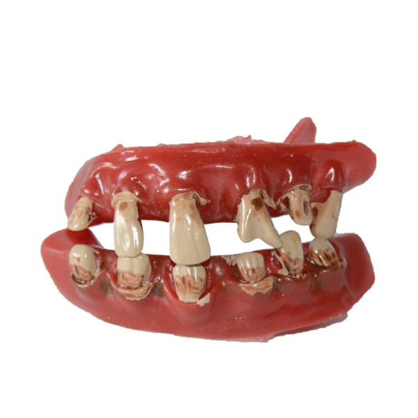 Halloween dekorationer tandproteser viser tricks rekvisitter øvre og nedre tænder