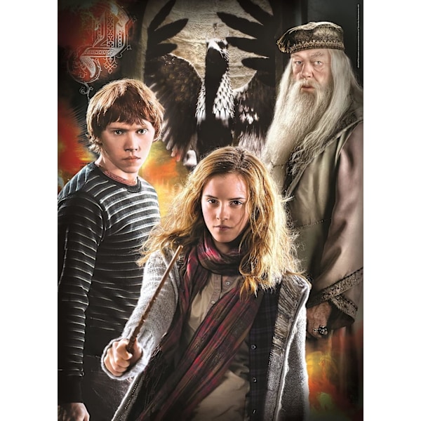 Harry Potter Characters pack 3 puzzles 3x1000pzs
