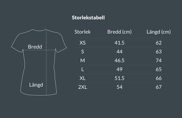 Fantastisk Bror - T-SHIRT - DAME sort XS