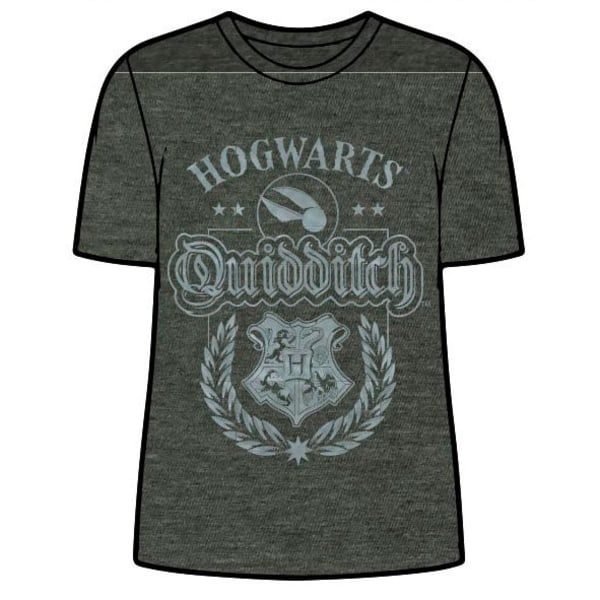 Harry Potter Galtvort Quidditch kvinne t-skjorte for voksne S