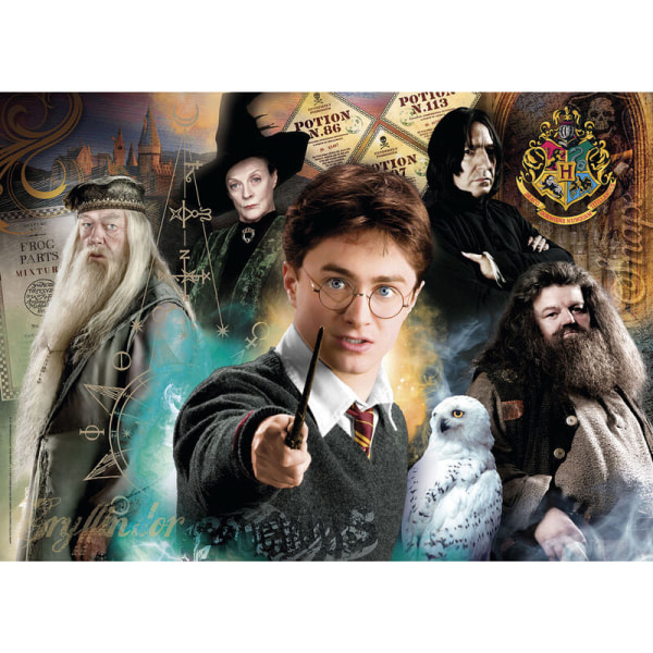 Harry Potter puzzle 500pcs