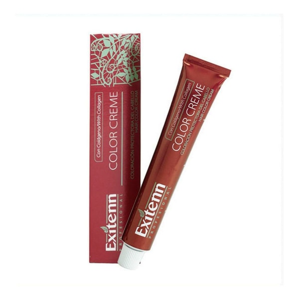 Permanent farge Color Creme Exitenn Nº 666 Red Ruby (60 ml)
