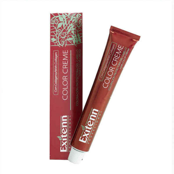 Permanent farge Exitenn Color Creme Fuchsia (60 ml)