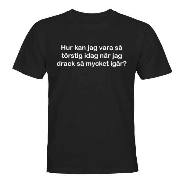 Hvordan kan jeg være så tørst - T-SHIRT - HERRE Svart - 4XL