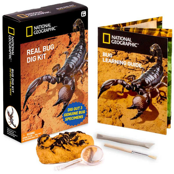NATIONAL GEOGRAPHIC BUG DIG KIT