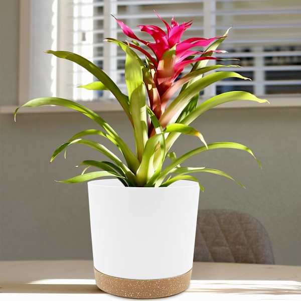 Sett med 2 stk. 20 cm innendørs plantepotter med dreneringshull og avtakbar base. Moderne dekorativ utendørs skål (hvit, 20 cm).