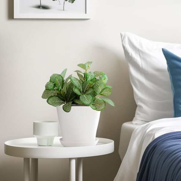 17 cm Indendørs/Udendørs Plantepotter i Plast med Bakker, Egnet til Frøplanter, Kaktus, Sukkulenter, Orkideer og Urter (Hvid)