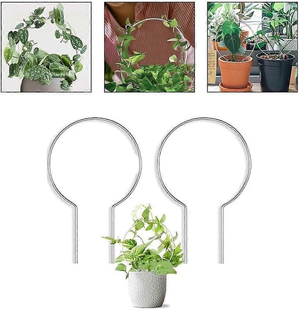 Sæt med 2 akrylstativer til klatreplanter og slyngplanter