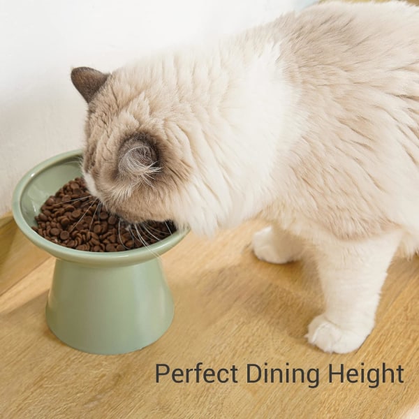 Erittäin leveät korotetut kissanruokakulhot - Keraaminen kissanruokakulho 6,2" Korotetut kissanruokakulhot, lyijy- ja kadmiumiton, 5" hyvä korkeus kissan ruokinnassa, vihreä Green
