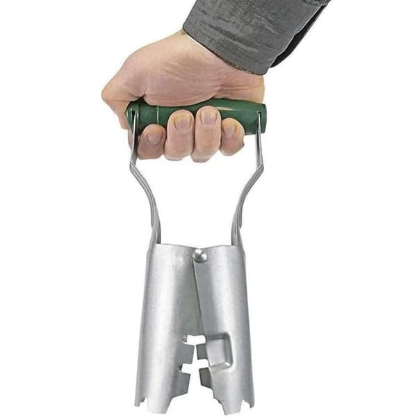 Hageplanter - Løkplanter - Hagefrøplanter