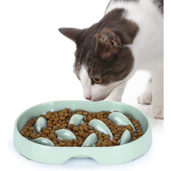 Slow Feeder Cat Bowl Anti-kräkningar, förhöjd kant Spillsäker Slow Food Cat Bowl för våtfoder/torrfoder, Hälsosam kost för husdjursskålar (ovala-gröna) Green