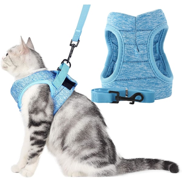 Kattsele och set Flyktäker för promenader, justerbara mjuka jackor med indragbar dämpning för små medelstora kattungar (M, blå)